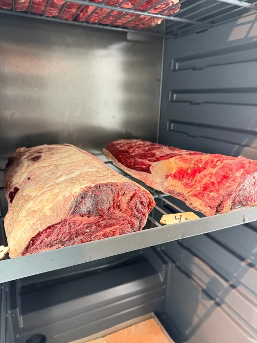 Dry aged ribeye steak perfectly seared